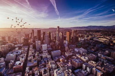 Aerial view of birds flying over cityscape against sky