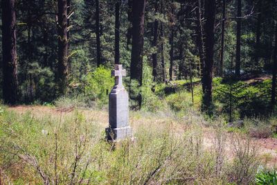 Metallic structure on field in forest