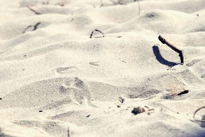 High angle view of footprints on sand