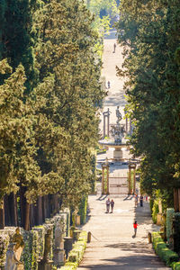 People walking on footpath amidst trees in city