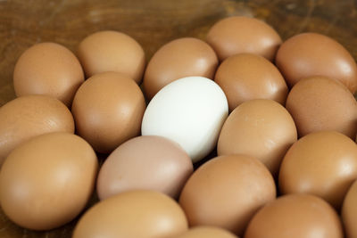 High angle view of eggs in container