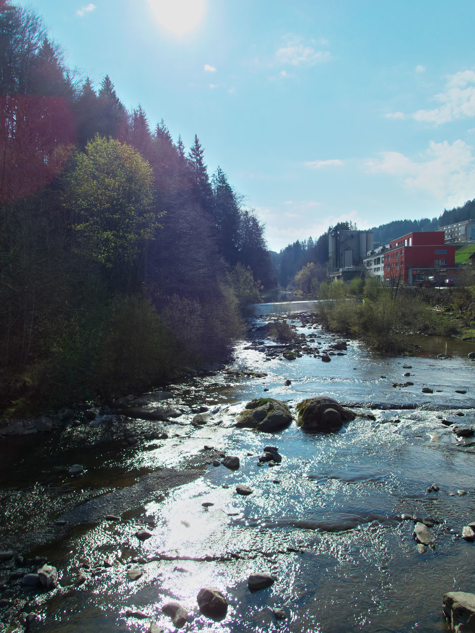 RIVER AMIDST TREES AGAINST SKY IN CITY