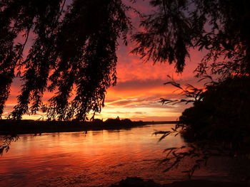 Silhouette trees by lake against sky during sunset