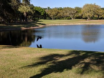 Scenic view of lake