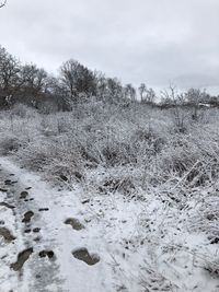 Scenic view of snow field against sky