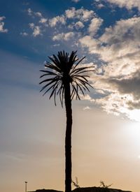 Low angle view of silhouette palm trees against sky during sunset