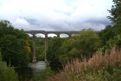Bridge over river amidst trees against sky