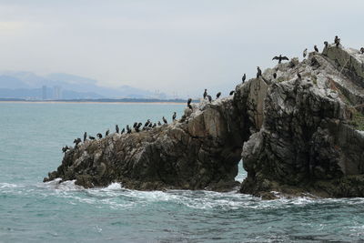 View of built structure by sea