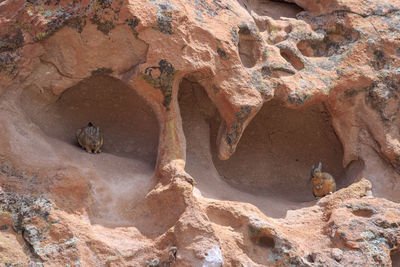 View of a rock formation