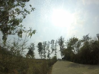 Road passing through landscape