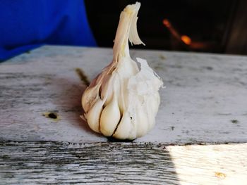 Close-up of garlic on table