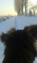winter