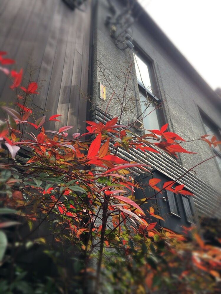 CLOSE-UP OF RED GREENHOUSE