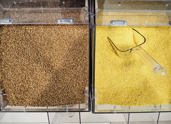 Sale of cereals in the store. grocery. buckwheat and millet on the counter in the store. 