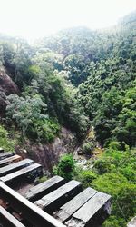 Scenic view of tree mountains against sky