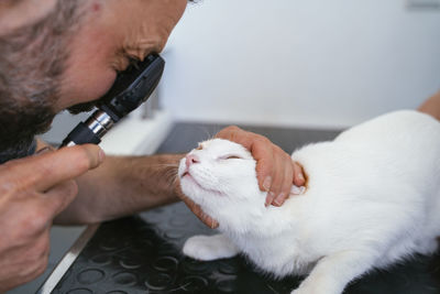 Midsection of man with cat