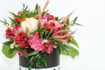 Close-up of pink flower vase against white background