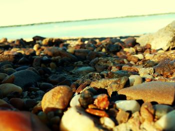 Surface level of pebble beach