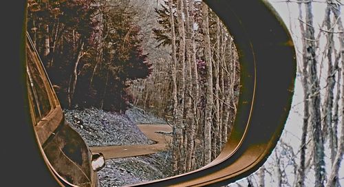 Close-up of rusty glass with reflection of trees