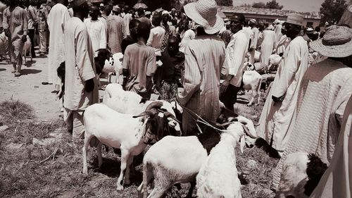 People and goats at market