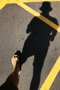 High angle view of shadow on street