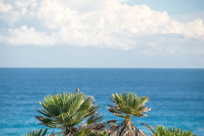 View of calm sea against cloudy sky