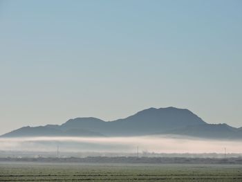 Scenic view of agricultural field against clear sky