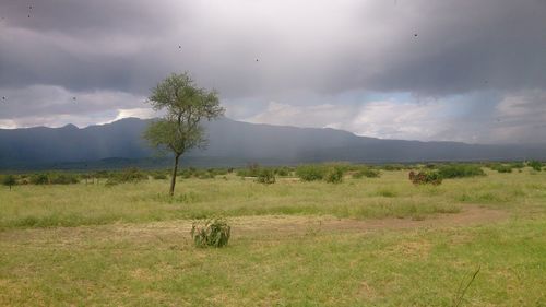 Scenic view of landscape against cloudy sky