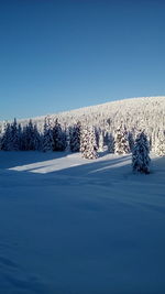 Scenic view of trees on snow landscape against clear sky