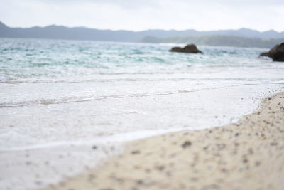 Scenic view of beach