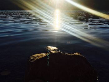 Close-up of leaf in water
