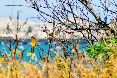 Bird perching on a tree