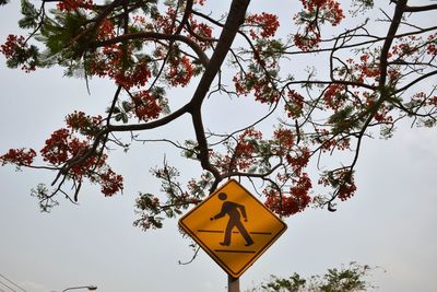 Low angle view of road sign against sky
