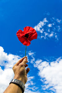 Cropped image of man hand holding red poppy against sky