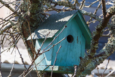 Close-up of birdhouse on tree