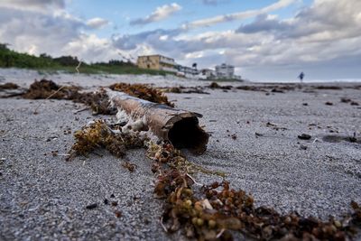Surface level of driftwood on beach against sky