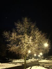 Illuminated street light at night