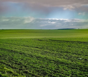 Scenic view of agricultural field against sky