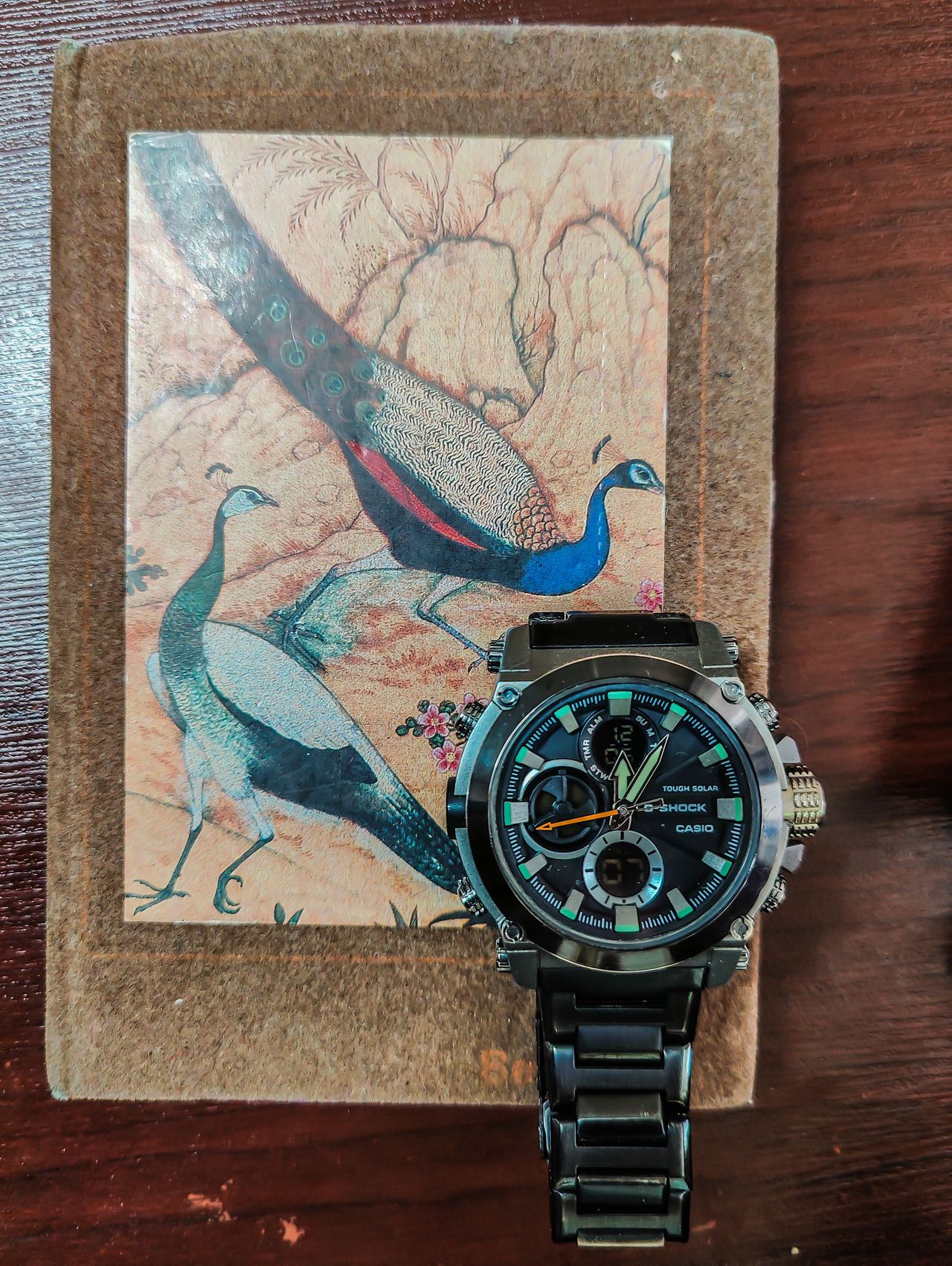 Peacock