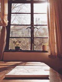 Potted plant on window sill at home