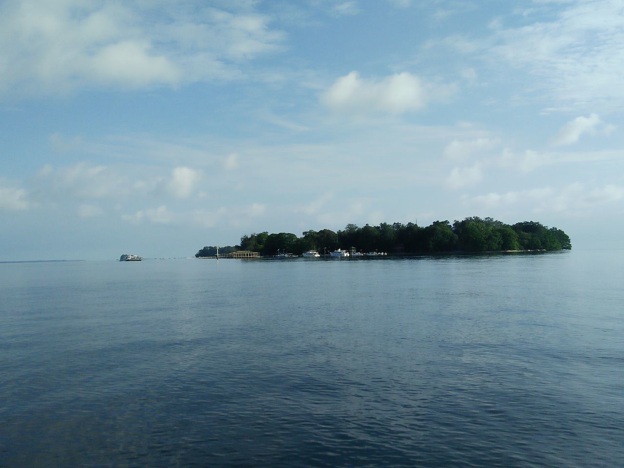 SCENIC VIEW OF SEA BY TREES AGAINST SKY