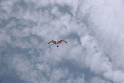 Low angle view of helicopter flying against cloudy sky