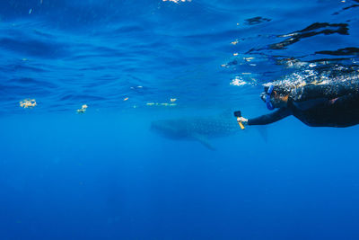 Woman swimming in sea