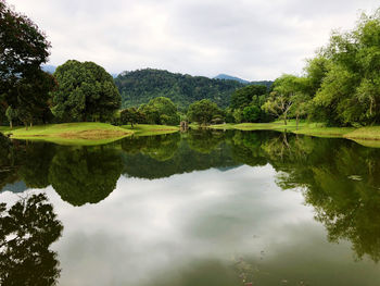 Scenic view of lake by trees against sky