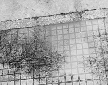 Close-up of bare tree in snow
