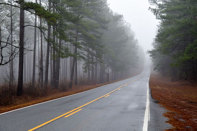 Empty road amidst trees