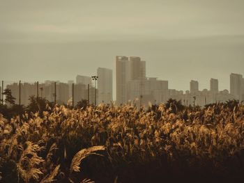 Cityscape against sky