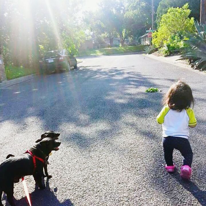 sunlight, dog, childhood, day, outdoors, real people, pets, girls, animal themes, leisure activity, tree, one animal, full length, two people, domestic animals, standing, nature, mammal, people