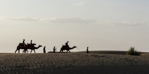 People riding horse on sand at beach against sky