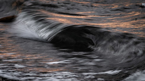 Close-up of bird swimming in sea